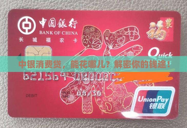 中银消费信用贷款用途