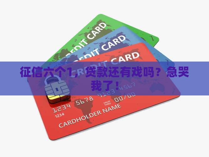 征信6个1能批贷款吗