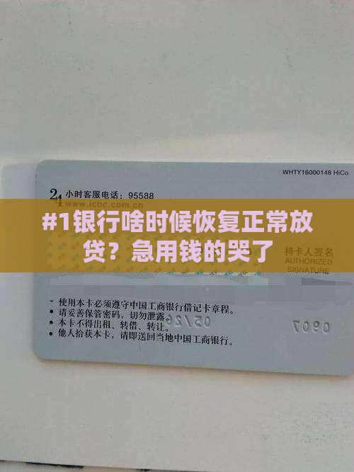 各大银行何时恢复贷款