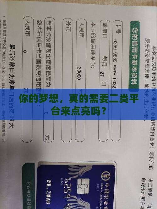 二类电商贷款平台