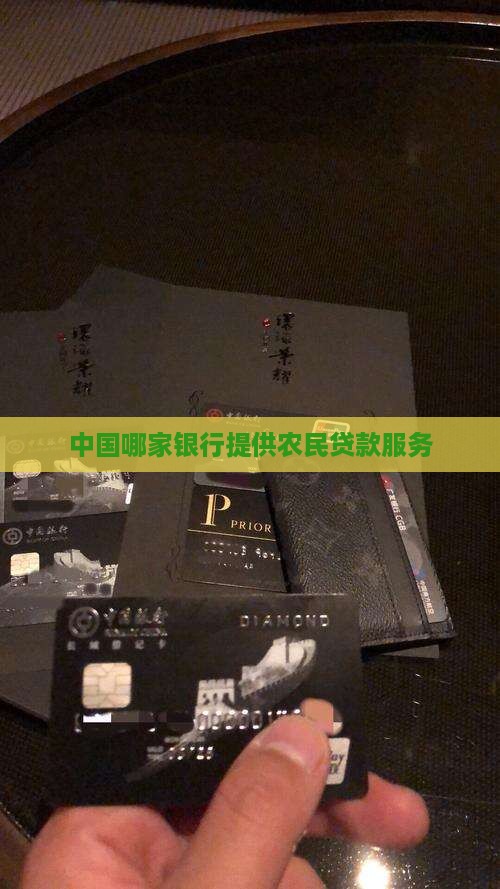 农民贷款哪个银行可以