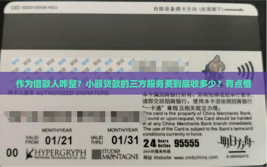 小额贷款的三方服务费