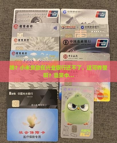 小米贷款兴业银行还不了 小米贷款兴业银行还不了