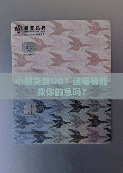 小额贷款UO
