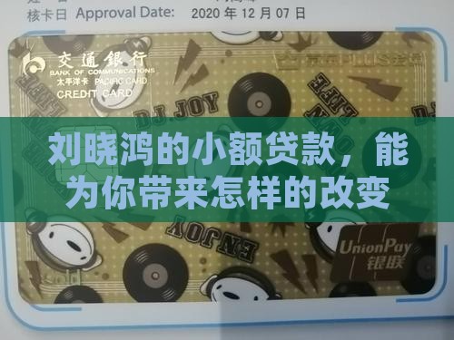 刘晓鸿鸿宇小额贷款