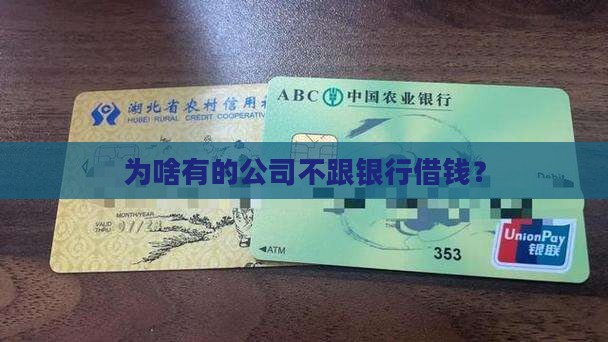 不向银行贷款的公司是
