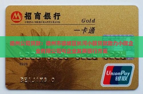 德州小微公司贷款