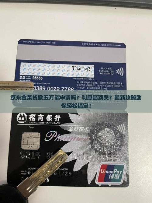 京东金条贷款五万