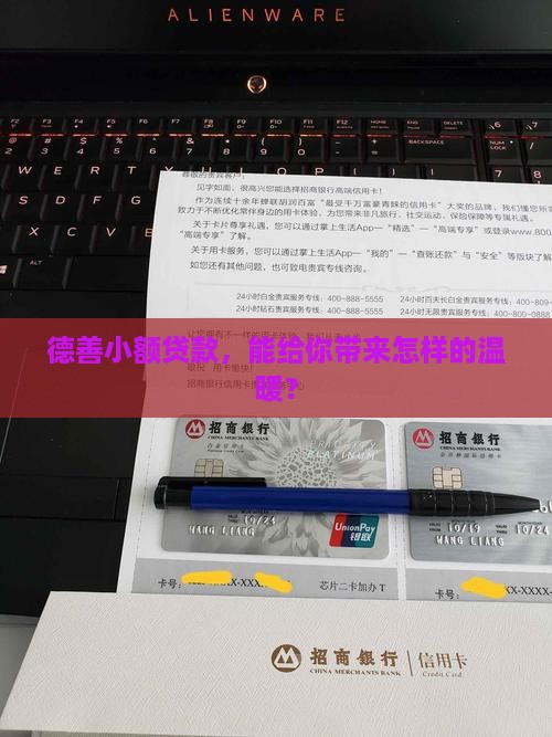 德善小额贷款