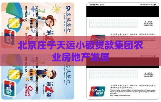 北京庄子天运小额贷款