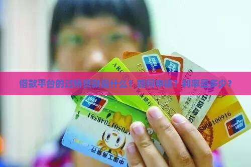 借款平台过桥贷款