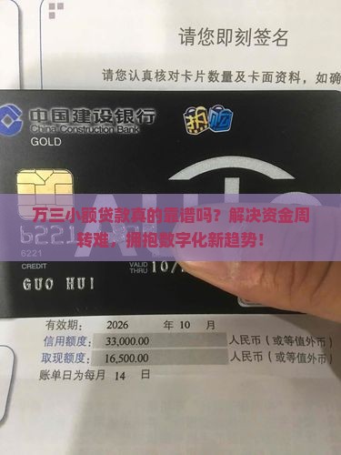 万三小额贷款