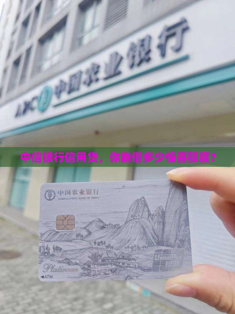 个人信用贷款中信银行能贷多少