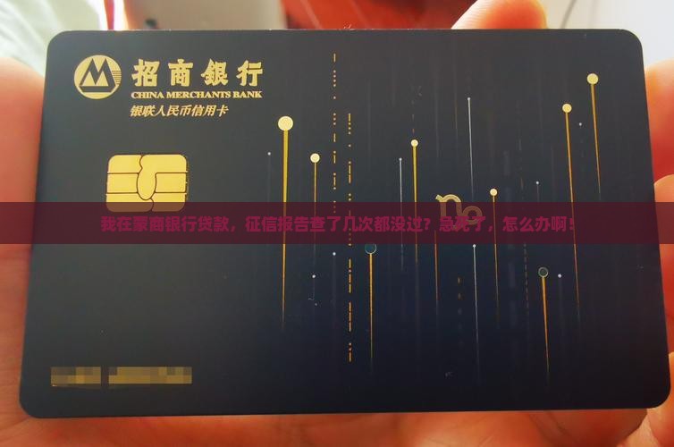 征信蒙商银行贷款