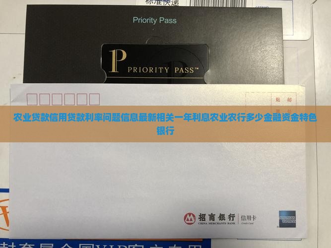 农业贷款信用贷款利率
