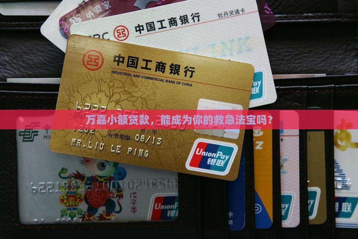 万嘉小额贷款