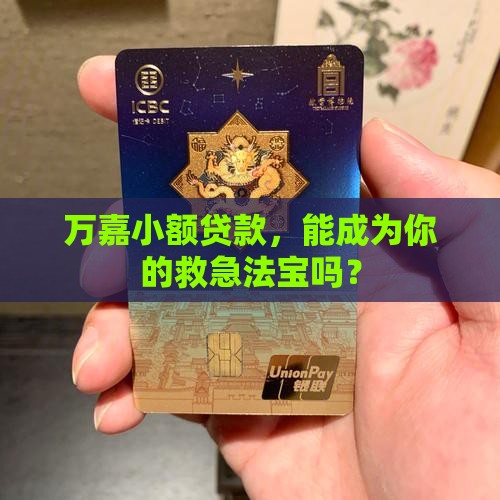 万嘉小额贷款