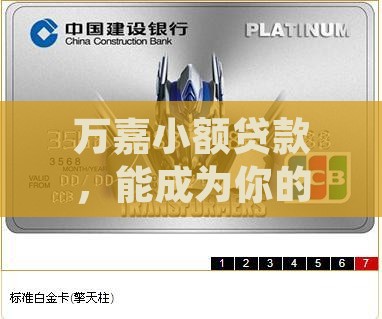 万嘉小额贷款