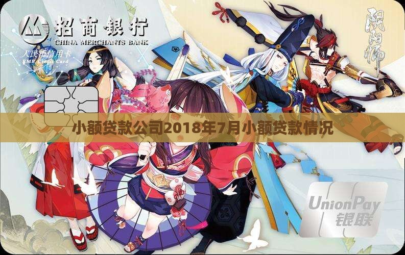 2018年7月小额贷款