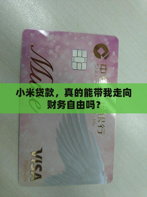 小米贷款登上去