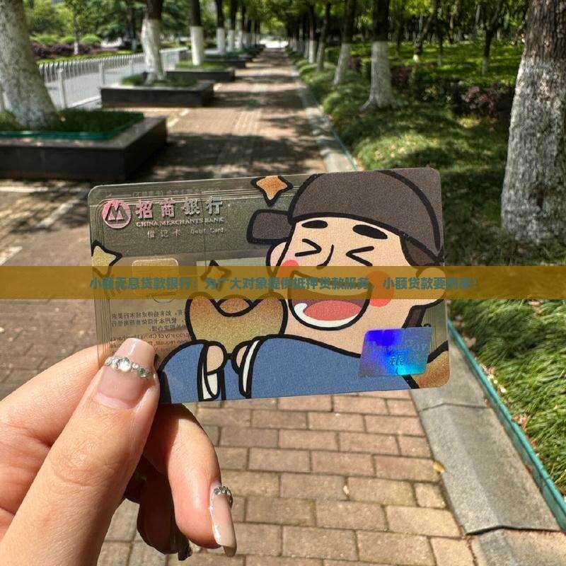 小额无息贷款银行