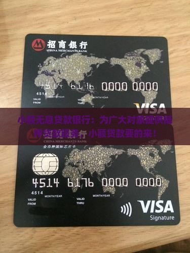 小额无息贷款银行