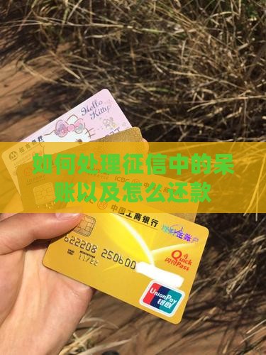 如何还请征信呆账贷款