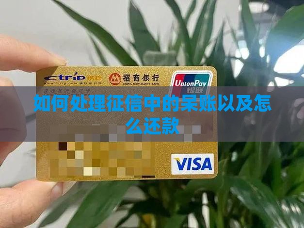 如何还请征信呆账贷款