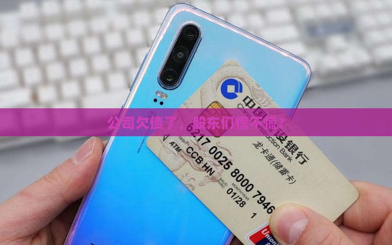 公司贷款债务与股东
