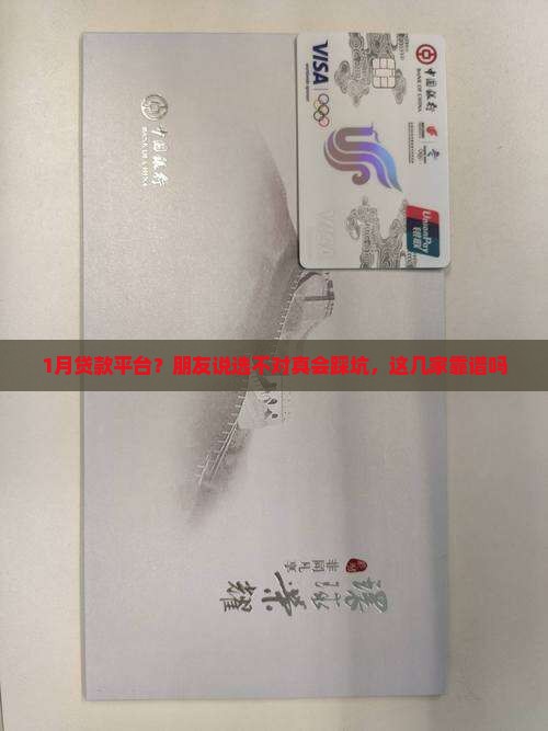 1月贷款平台