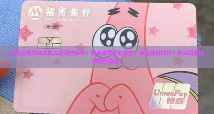 小额信用贷款条件咨询