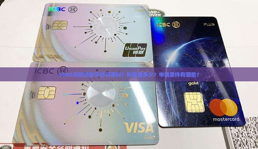 5000元的贷款平台