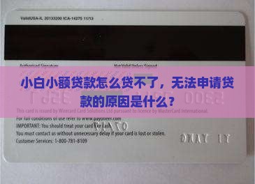 小白小额贷款怎么贷不了