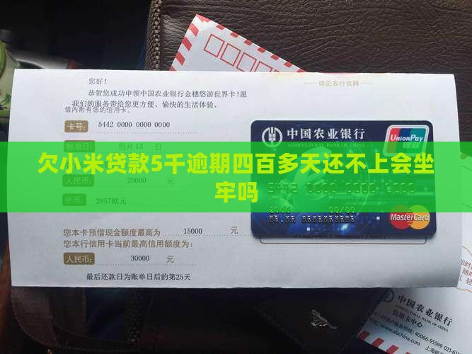 欠小米贷款5千
