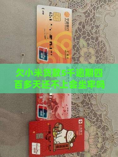 欠小米贷款5千