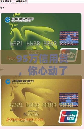95万信用贷款
