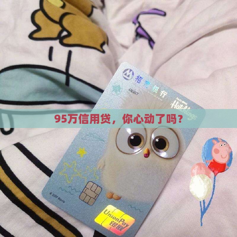 95万信用贷款