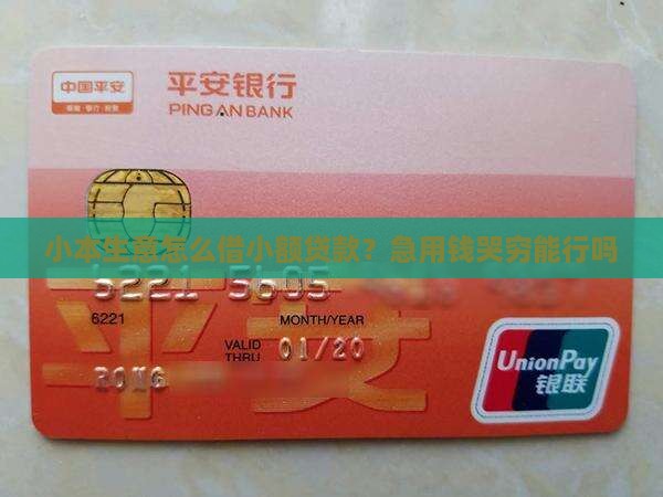 小额贷款怎么回事