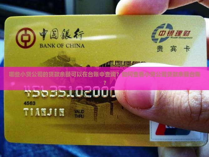 小贷公司贷款余额台账