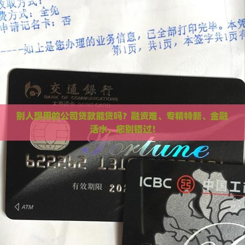 别人想用的公司贷款能贷吗