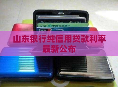 山东纯信用贷款利率最新