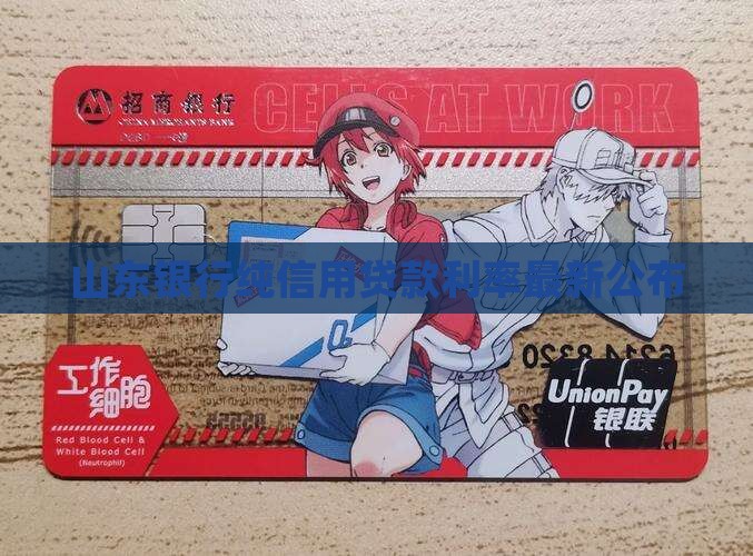 山东纯信用贷款利率最新