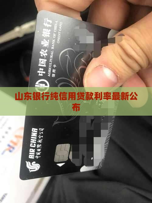 山东纯信用贷款利率最新