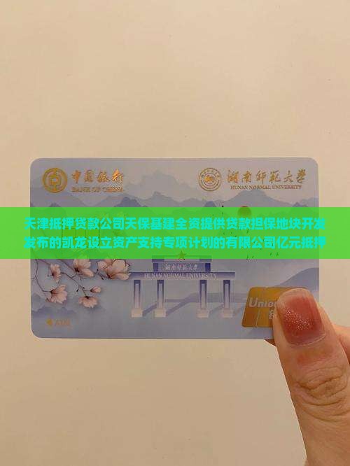 天津抵押贷款有哪些公司