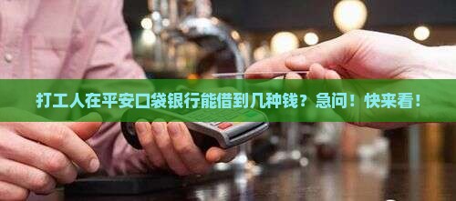 平安口袋银行有什么贷款