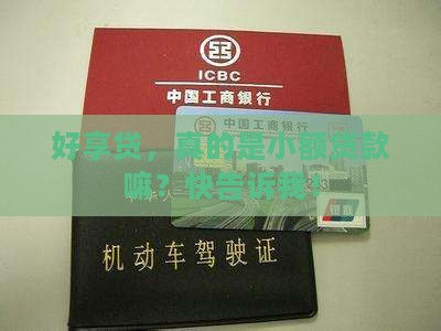 好享贷是小额贷款吗