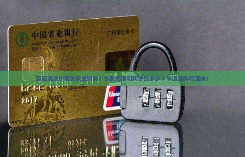 延安圣远小额贷款