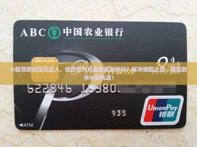 小额贷款担保见证人