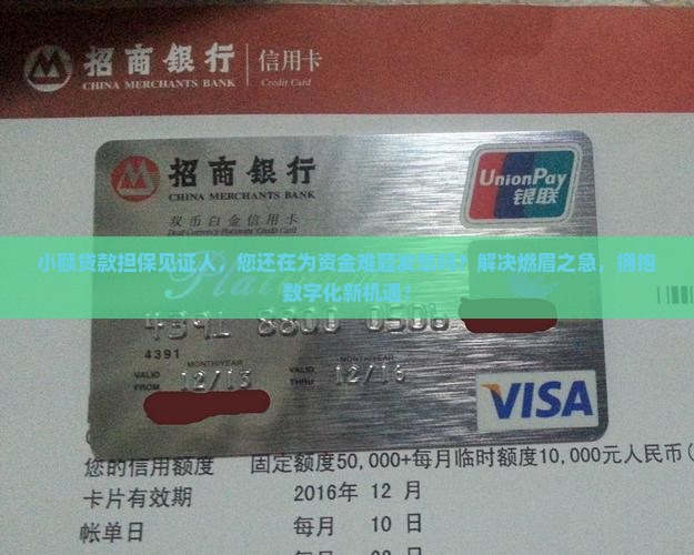 小额贷款担保见证人