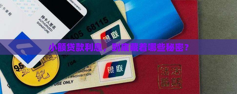 小额贷款的利息怎么样